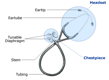 Cardiology III Scope Anatomy